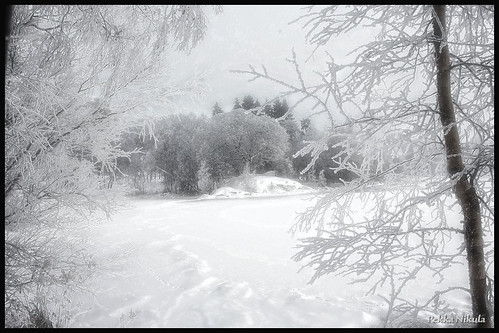 snow frost talvi tampere pyynikki pyhäjärvi kuura