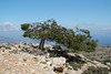 Kreta 2009-2 344
