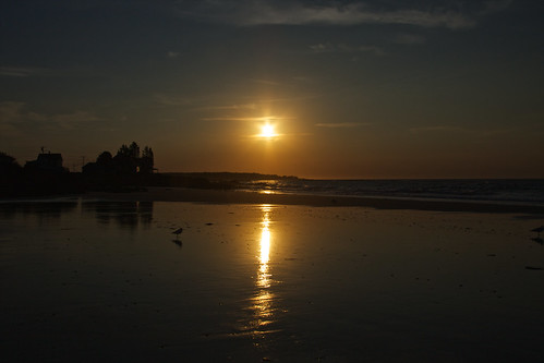 usa seaweed beach america sunrise sand rocks united maine states kennebunk