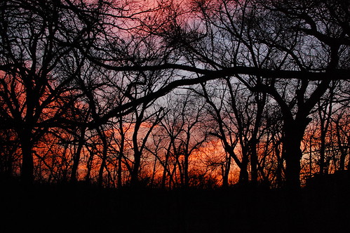 park city trees sunset sky oklahoma clouds cloudy okc ok martinnaturecenter