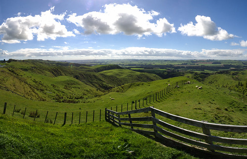 newzealand panorama field grass sheep viewpoint stormypoint manawatuwanganui waitunawest