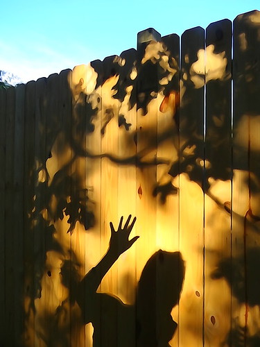 sky fence shadows hand ofme zen waving westasheville haywoodroad zensutherland wavl 20120814