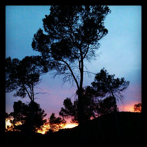sunset france square south montpellier hills pines squareformat hefe fontanes iphoneography instagramapp uploaded:by=instagram foursquare:venue=4faa3f5ee4b0aecc82a58642