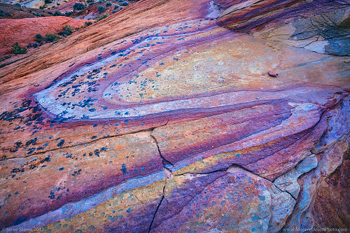 statepark abstract color detail valleyoffire photography photo sandstone colorful pattern nevada fineart dramatic lichen scurve rainbowcolor leadin workshoplocation