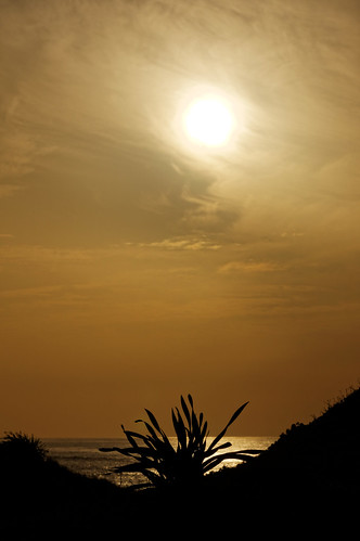 sunset seascape beach water clouds sony tamron90mmf28 mygearandme sonya55
