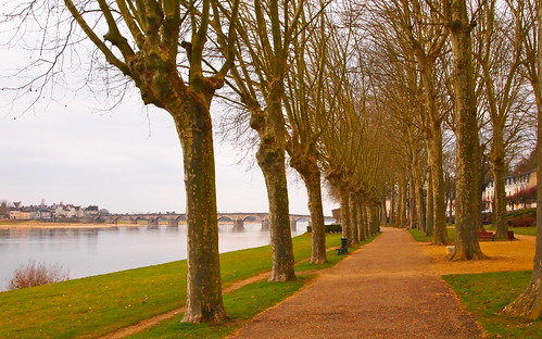 bridge trees france river centre tourists historical loire touristattraction loiret gien