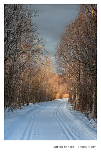 trees winter snow ice sunrise finland helsinki swamp fields talvi canon5dmarkiii mygearandme mygearandmepremium mygearandmebronze grury