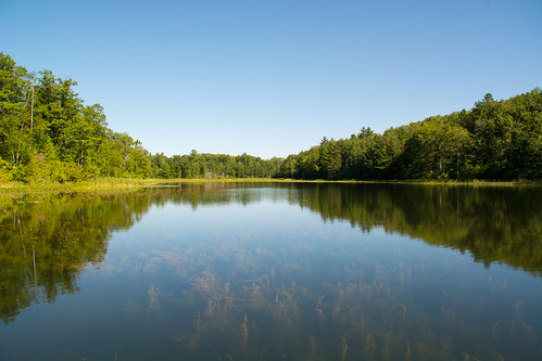 michigan camping reflection water nature