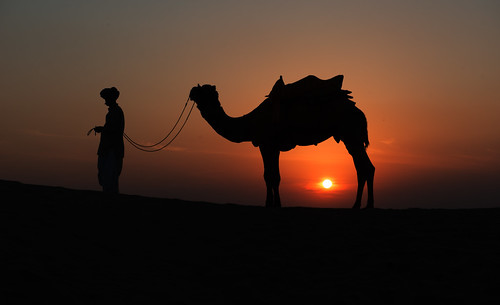 sunset india man silhouette asia desert camel thar rajasthan earthasia