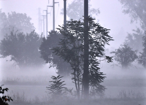 autumn italy mist fog landscapes countryside nikon italia zoom campagna nebbia autunno brescia lombardia paesaggio lombardy foschia d90 djjonatan74