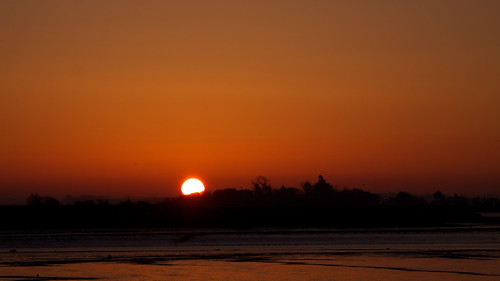 trees red orange sun black silhouette sunrise glow horizon essex maldon