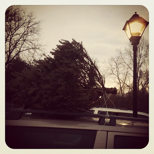 #Christmas tree? Check!
