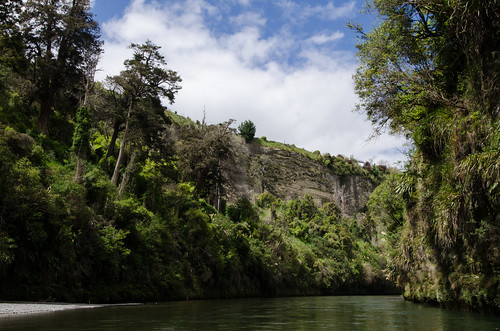 trees newzealand river cliffs rangitikeiriver