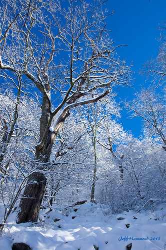 snow contrast hiking freshsnow peaksofotter winterphotography sharptopmountain