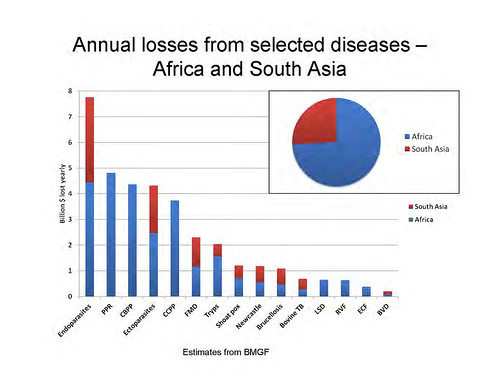 Health at the livestock-policy interface: Annual losses