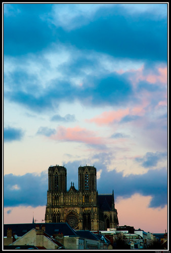 rose bleu nuage reims cathedrale