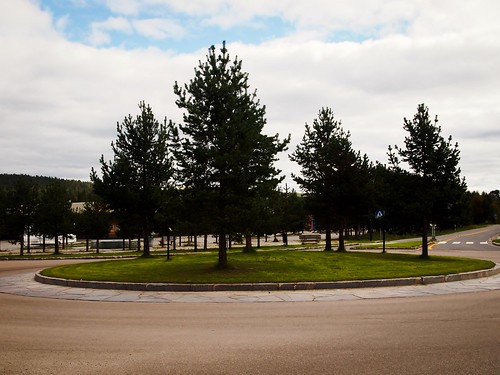 karasjok finnmark rundkjøring roundabout furu pine trees trær