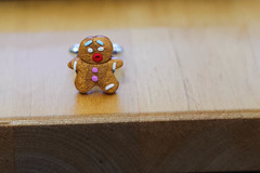 Gingerbread Man is surprised ! 6/365