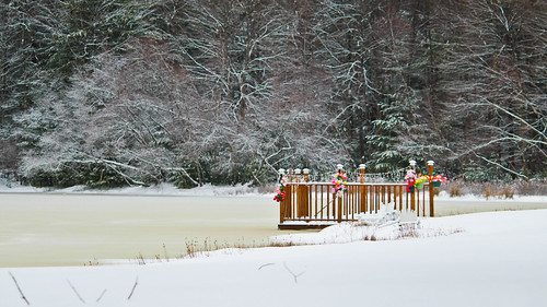 flowers winter snow ice dock pond canon55250mmislens