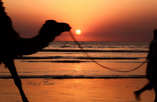 pakistan sunset love beach home canon hope back seaside waves peace going tired harmony karachi seashore seaview endofday goingback sunsetandsea rayofpeace kirannasir