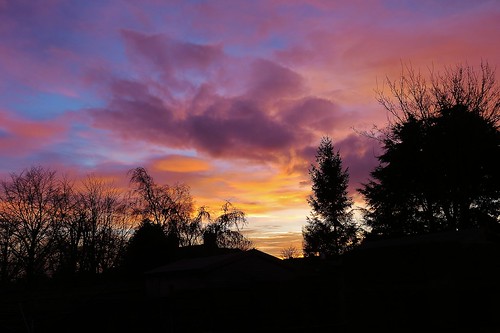 trees sky clouds sunrise canon rooftops silhouettes wiltshire warminster sueeverett severett canonpowershotsx50