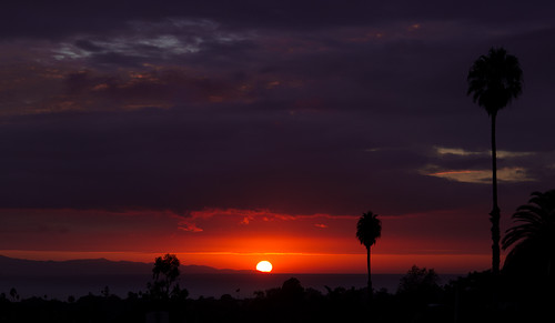 ca trees sunset sun clouds islands horizon silhouettes palm drama ventura 3826 24105mmf4