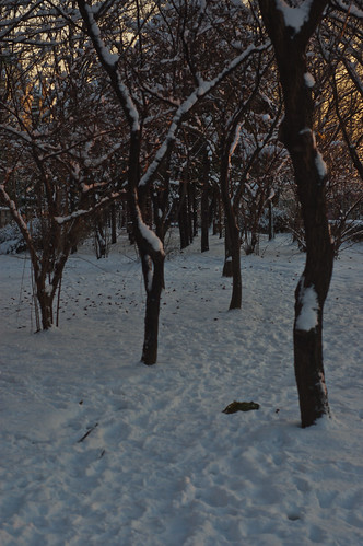 park winter sunset cold path trail southkorea