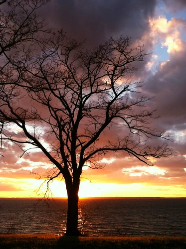 sunset tree virginia dusk jamesriver newportnews uploaded:by=flickrmobile flickriosapp:filter=nofilter