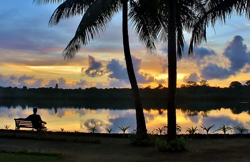 trees reflection water colors silhouette sunrise reflections relax bright lagoon tropical vanuatu portvila efate erakor poppysonthelagoon