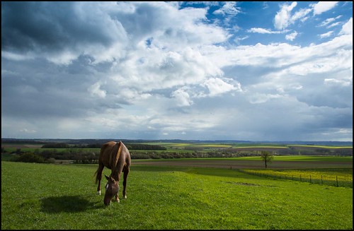 cheval couleurs ciel nuages paysage campagne