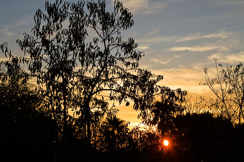 sun luz sol sunrise canon contraluz dawn amanecer 7d mallorca solei baleares