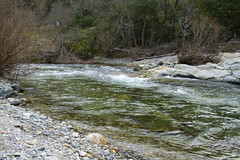 Le fleuve Hérault - Photo of Sumène