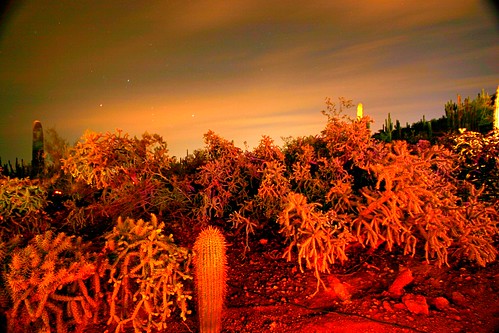 sunset arizona usa southwest phoenix night lights tempe luminaries votives desertbotanicalgardens lasnochesdelasluminarias