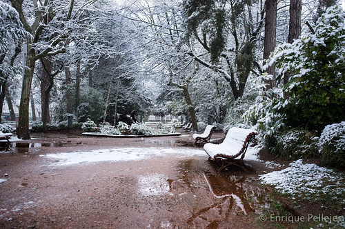 park christmas wood xmas city trees winter light white snow cold tree ice nature water beautiful beauty weather fashion forest bench season landscape frozen solitude frost december day view natural snowy background january scene backgrounds fujifilm february x100