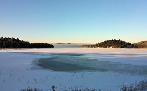 trees winter mist lake snow cold ice water fog sunrise nokia frost varberg windowsphone karlgustav lumia800