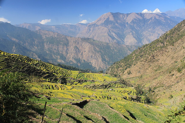 Terracing in Ganesh Himal