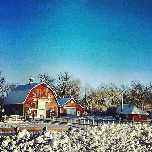 snow minnesota farm android photooftheday picoftheday hwy7 bestoftheday igers arbyn androidography sgs2 webstagram statigram andrography instagrammers instagramhub instagood droidedit instagramshots contestgram uploaded:by=flickstagram redditgram slashrslashinstagramshots instagram:photo=34347830396863546730746705