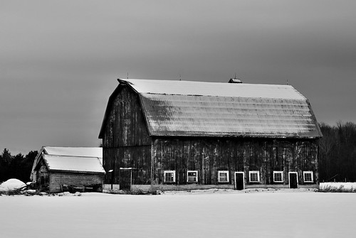 old winter bw snow ontario landscape barns wintertime