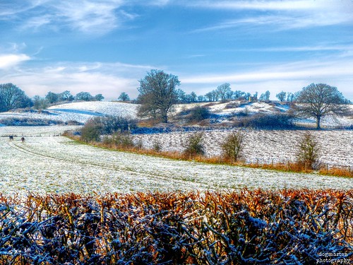 winter snow landscape countryside suffolk frost farmland hadleigh eastanglia babergh riverbrett hadleighheath dogmarten28