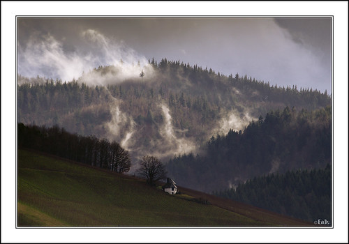 mist clouds forest germany landscape deutschland vineyard nebel wolken hills landschaft wald schwarzwald blackforest weinberg hügel ennodernov