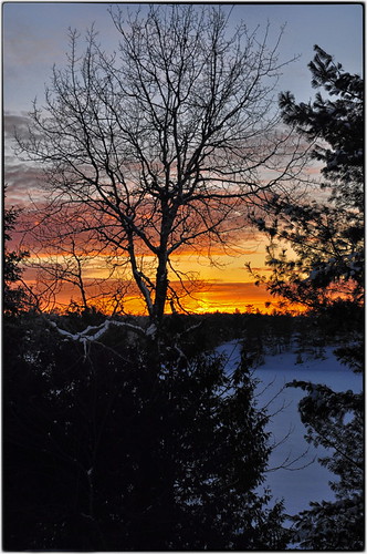 trees sunset sky lake snow ice silhouette nikon colours