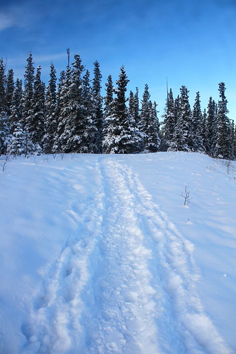 blue trees winter sky snow cold landscape pretty path january trail 20c arycanoneos7d