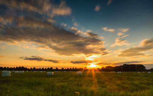 gosenneuzittau brandenburg deutschland clouds meadow sunset steppenwolf33 sky landscape
