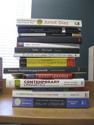 A stack of a dozen or so books including German and Spanish dictionaries, a linguistics textbook, and Kafka's The Castle.
