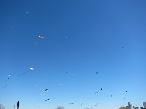 kites IMG_3103