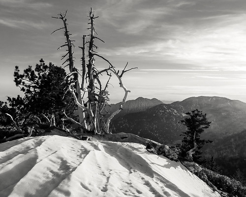 winter bw white snow black canon landscape outdoors view hiking scenic powershot southerncalifornia sangabrielmountains angelesnationalforest losangelescounty transverseranges sx260