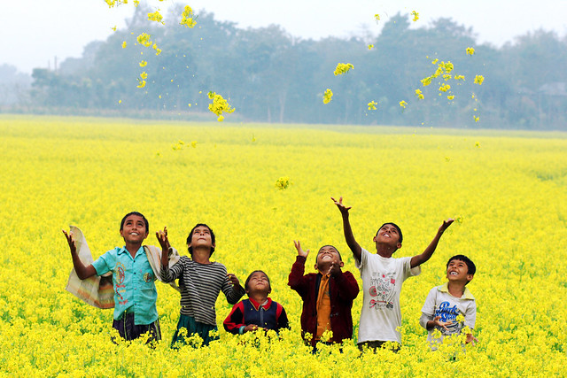Nature's Rejoice - Beautiful Bangladesh Photography