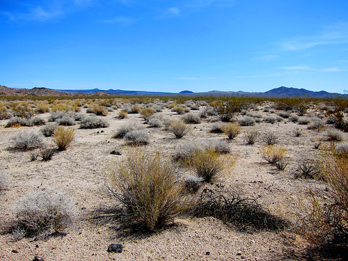 landscape desert national mojave preserve canonpowershots95