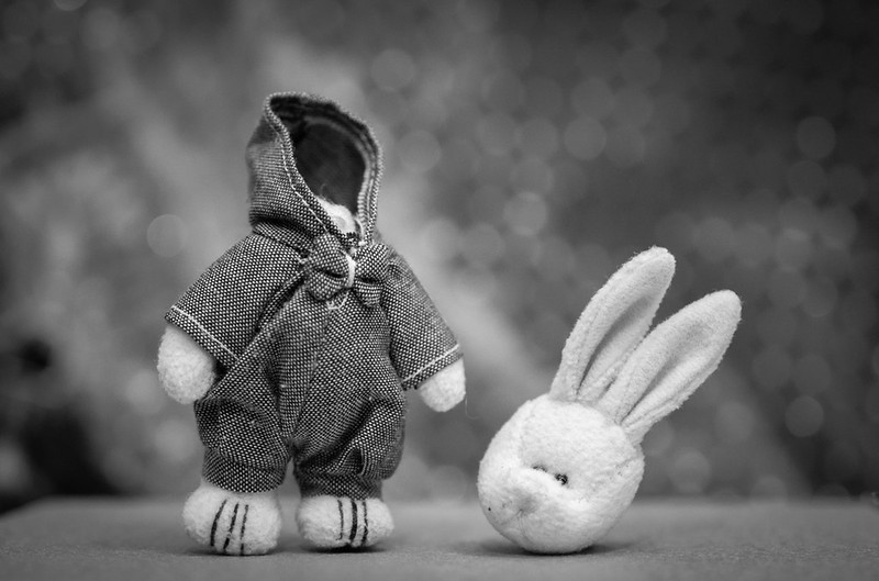 Игрушка кинь. Брошенная игрушка. Заяц в одежде. Обиженный заяц. Старая игрушка заяц.