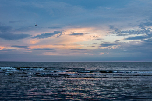 liepaja latvia baltic sea water blue bird seagull sunset clouds cloud outdoor shore horizont sky nikon d3200 nikkor 35mm f18 afsdxnikkor35mmf18g landscape seaside coast ngc lettonie lettland латвия